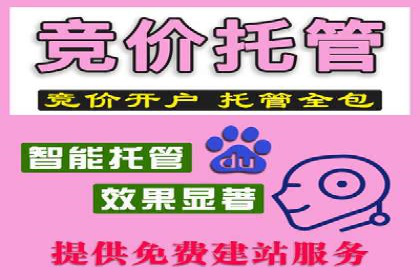 百度竞价优化技巧：实战案例深度剖析